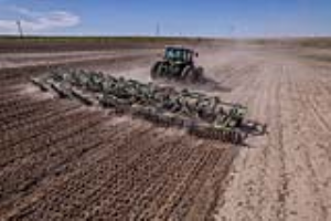 05 Fallow Master Orthman